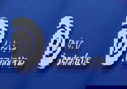 Partia Demokratike